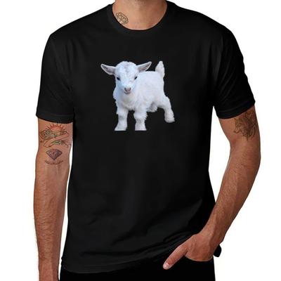 Üst giysisi – T-shirtler