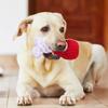 1pc Pet Dog Woven Toy Chicken Drumstick Shape Animal Rope Dog Cute Dog Toy for Dog Chewers Braided Puppy Toys Teeth Cleaning
