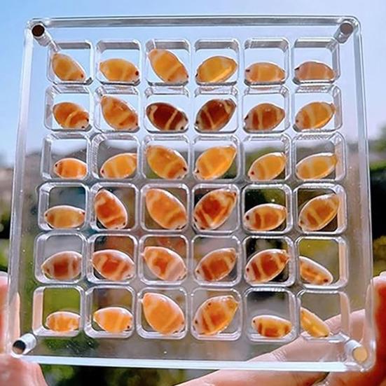 Akrylowe magnetyczne pudełko wystawowe z muszli 36/64/100 siatki kwadratowe małe rękodzieło kamień naturalny koraliki do zdobienia paznokci urok biżuteria Show organizator pojemnik Case