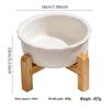 Pet Supplies: Top-Selling Cat & Dog Feeding Bowls & Drinking Utensils