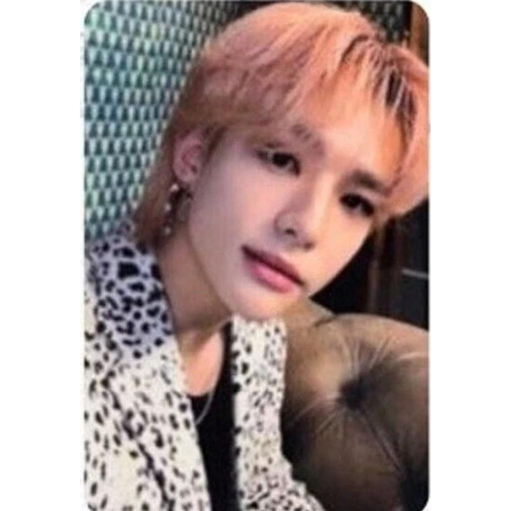 STRAY KIDS 5-Star APPLE MUSIC MUSICPLANT WITHMUU MUSICKOREA JYP LOTTE PHOTO CARD