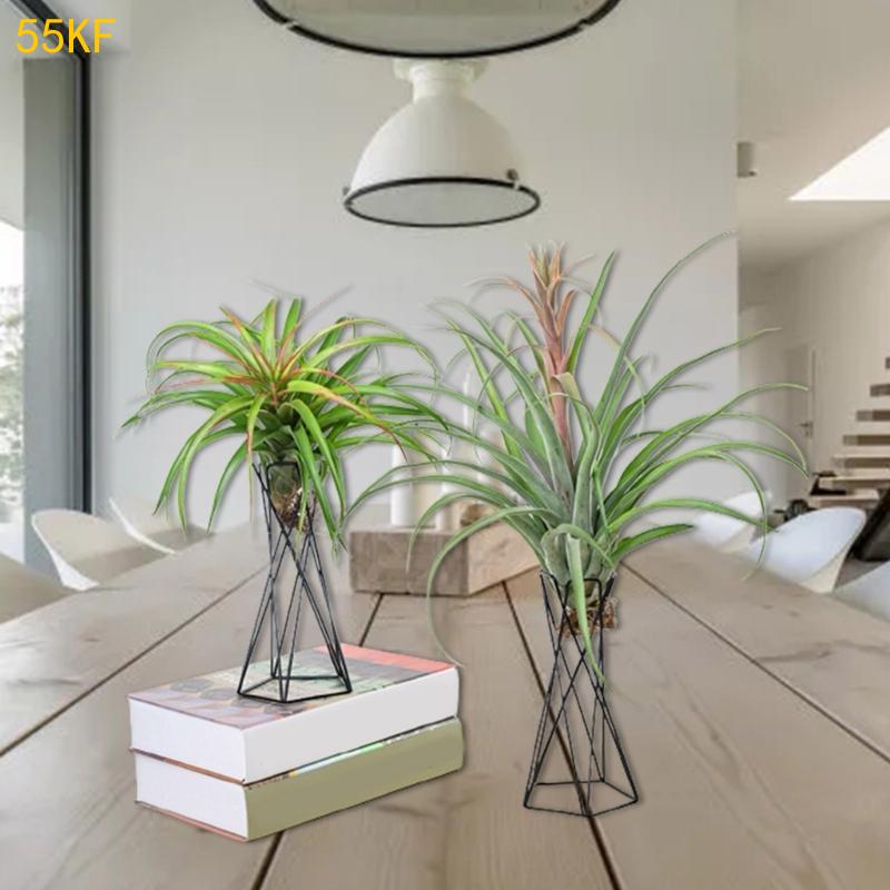55KF Severský držák na vzdušné rostliny Kovový stojan na květináče Geometrický železný držák na Tillandsie