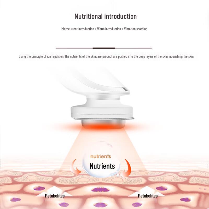 KingDom Multi-functional Facial Beauty Device