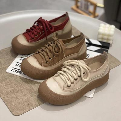 Platform Single Shoes  Casual  Shoes Spring and Autumn New Lace-up Board Shoes Fashionable Retro Literary and Versatile