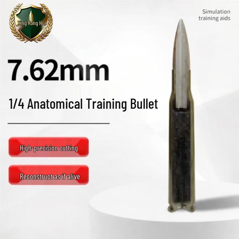 XingRongHui 7.62mm Quarter Anatomy Model