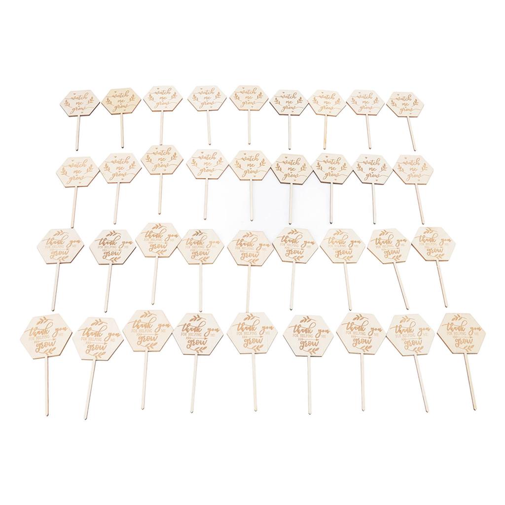 36 st Se mig växa Suckulentetiketter Säkra Miljövänliga Trä Sexkantiga Suckulentetiketter för Blomkruka