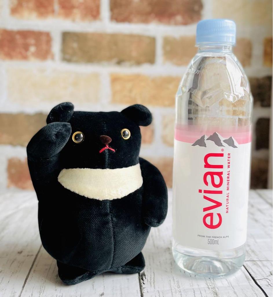 [USED] Salute! Asiatic Black Bear Teddy Bear, Velvet, Handmade by Artist, Black