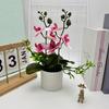 Artificial Plastic Phalaenopsis Flower Bonsai For Event Decoration Home Styling