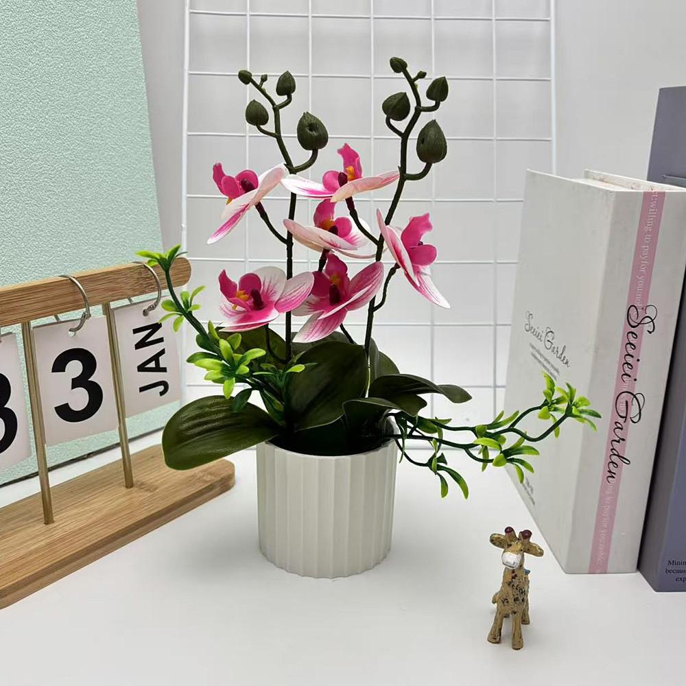 Artificial Plastic Phalaenopsis Flower Bonsai For Event Decoration Home Styling