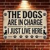 Vintage Metal Tin Sign Dog Lovers Wall Art Decor Joom