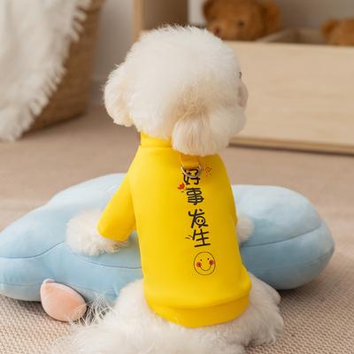 Nervöse Katze Haustierkleidung Herbst und Winter draußen kann ziehen gute Dinge passieren kleiner Hund zweibeiniger Pullover Hundekleidung