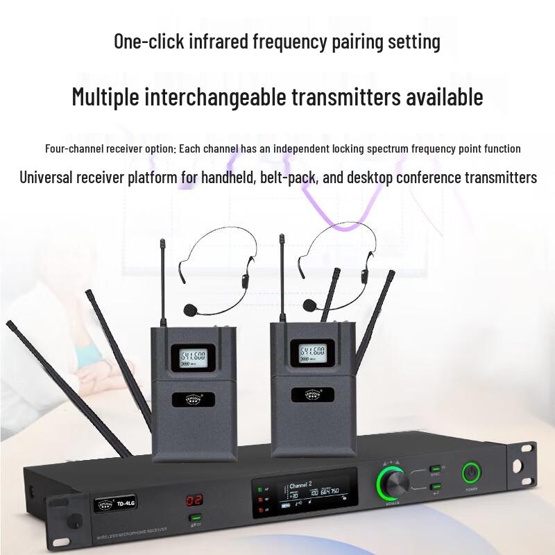 Leipudun TD-4LG True Diversity Wireless Microphone System (CN Version)