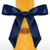 Animal Costume Accessory Animal Ear Headband with Tail Animal Cosplay Outfit for Kid Adult Christmas Halloween Role Play
