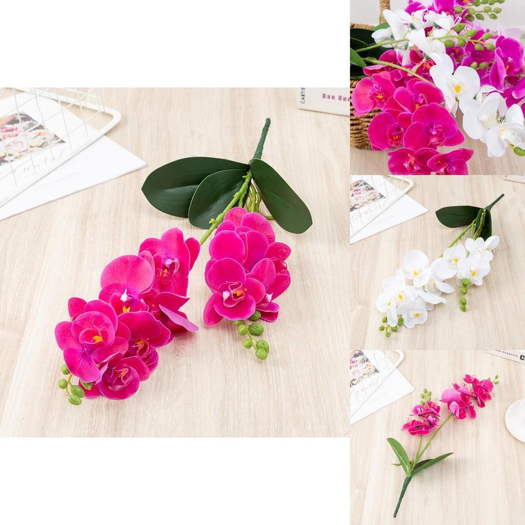 Pvc Butterfly Orchid Fake Flower With Soft Feel For Home Decor And Creative Photography Displays