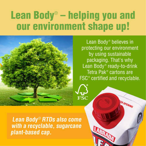 Lean Buddy RTD Chocolate Ice Cream Flavor 17 Oz (12 Cans)