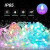 WS2812B Bluetooth LED String Fairy Lights Dreamcolor RGBIC DIY Party Festival Tree Lights Wedding Decoration Garland USB Lamp