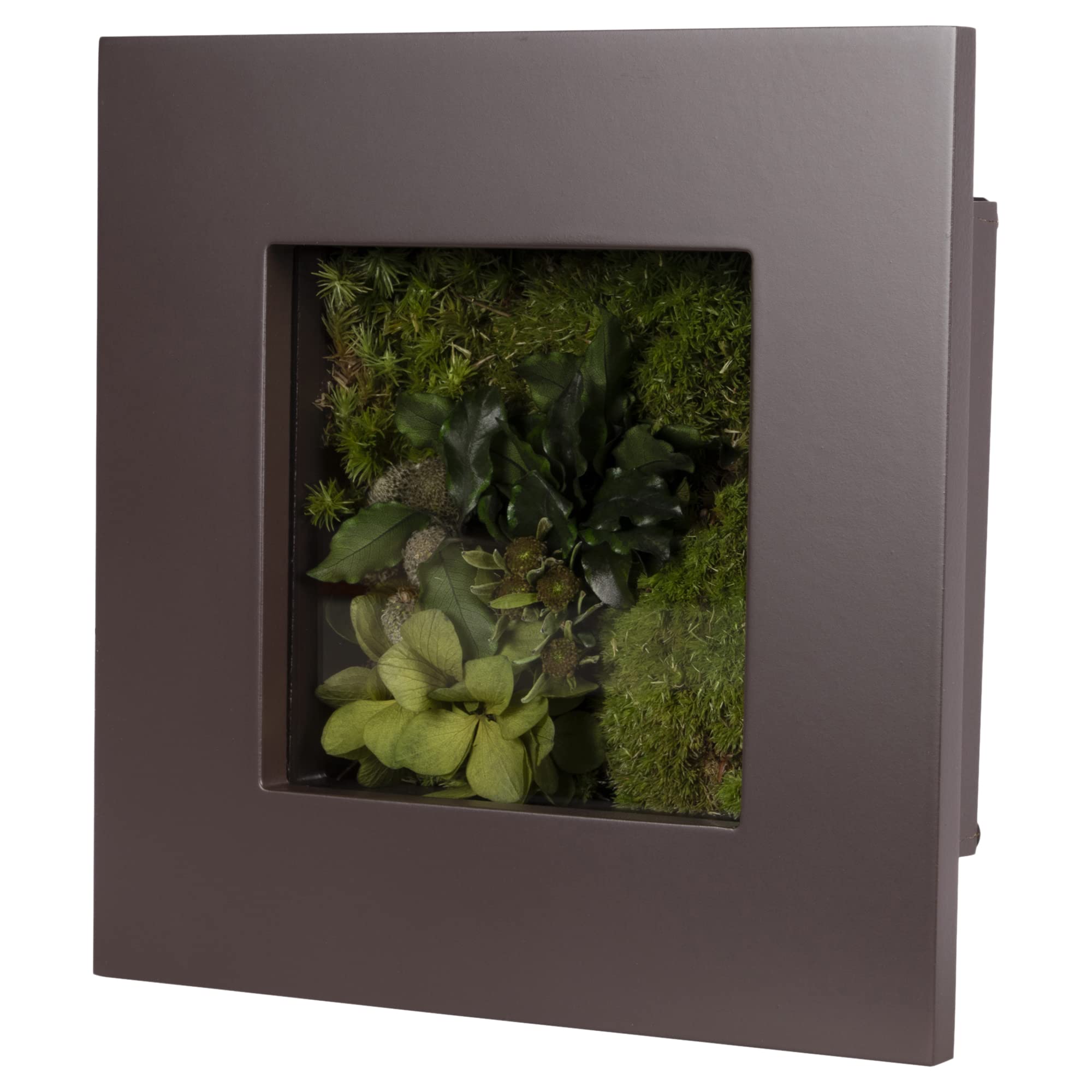 

Garden Palette Mono Brown Frame Interior Green Preserved Flowers