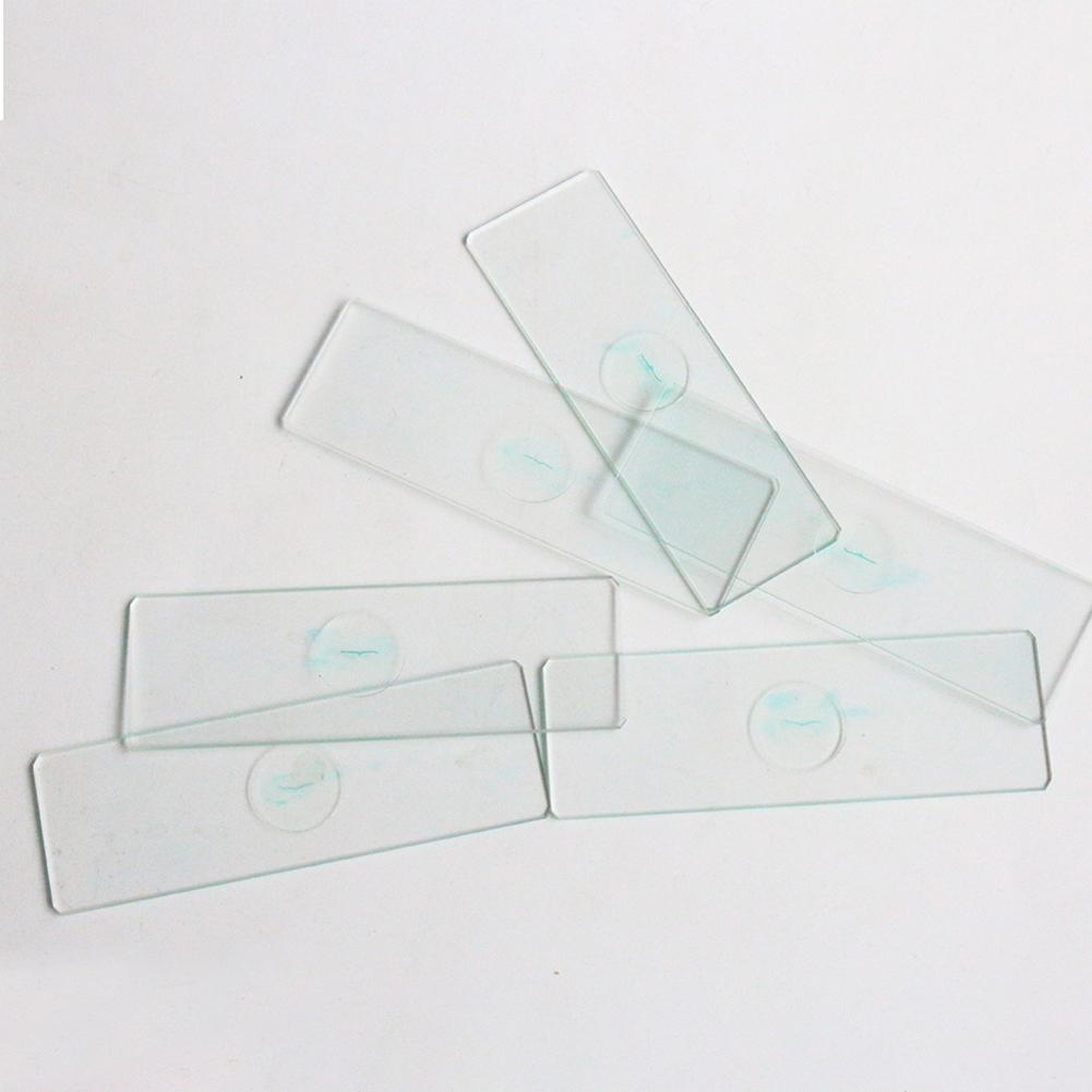 Microscope Specimen Slides for Kids with Educational Biology Focus