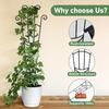 Plant Trellis Metal Plant Support Pothos Support Stakes for Indoor Outdoor Garden Balcony Pothos Monstera Ivy Clematis Gardening