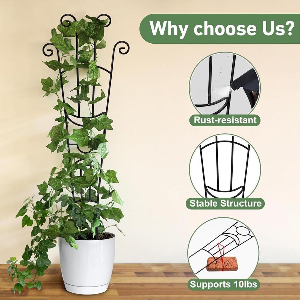 Plant Trellis Metal Plant Support Pothos Support Stakes for Indoor Outdoor Garden Balcony Pothos Monstera Ivy Clematis Gardening