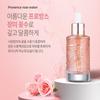 Coreana Orthia Perfect Collagen 24K Rose Gold Essence 50ml