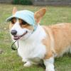 Safety Dogs Cats Baseball Caps with Stretch Chin Rope Outdoor Pet Visors Hat