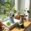 Floral Arrangement Animal Vase Modern Giraffe Vase Creative Art Vase  Home Decoration