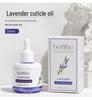 Large Bottle Nail Care Oil: Nourishing Cuticle Oil with Plant Fragrance for Moisturizing, Anti-Splitting, and Dead Skin Removal.