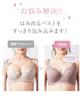 Nissen Full Cup Bra and Panty Set Floral Elegant Cassis Women's (Large Lace) (Triumph) (n, FULLRE) E110/5L