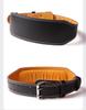 Unisex Fitness Waist Support Belt for Squats, Deadlifts & Sports - Thick Sponge Waist Trimmer