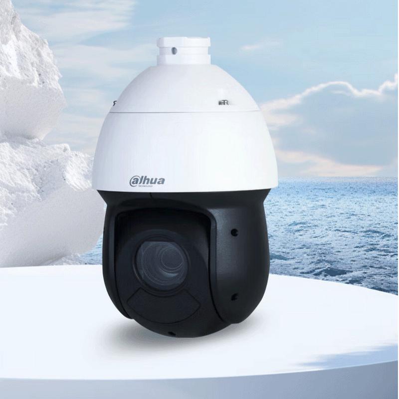

Dahua 4MP 23x Starlight PoE Network PTZ Dome Camera CN plug (adapter included)
