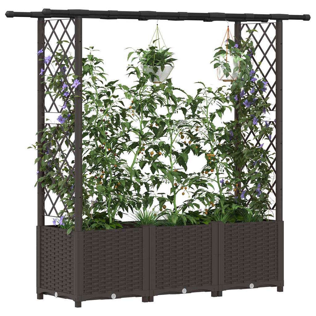 Elevated Planter with Trellis and Hanging Roof Brown 162.5 x 40 x 138 cm PP