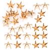 200Pcs Star Rivets 5‑Pointed Star Claw Nails DIY Bags Hats Decoration Accessories 10MMGold