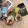 Coques pour téléphones – Pare-chocs pour smartphones