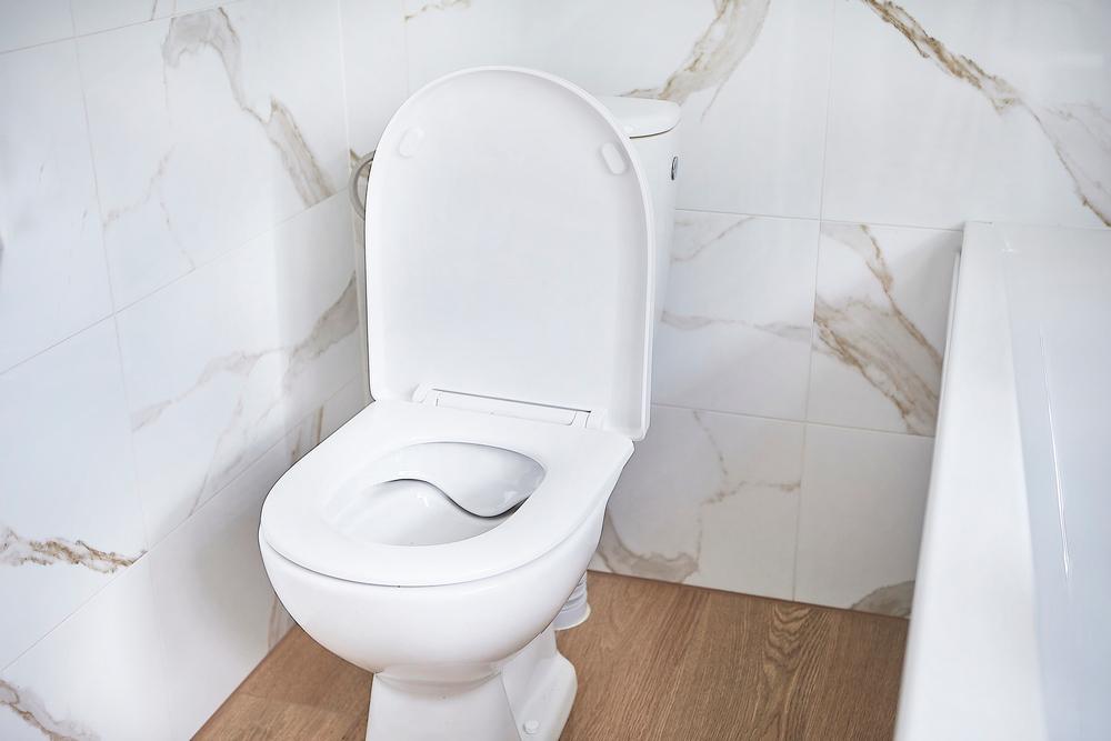 MEDELIN TOILET SEAT