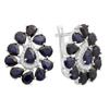 Silver Earrings with Natural Sapphire 9.918ct (2150534)