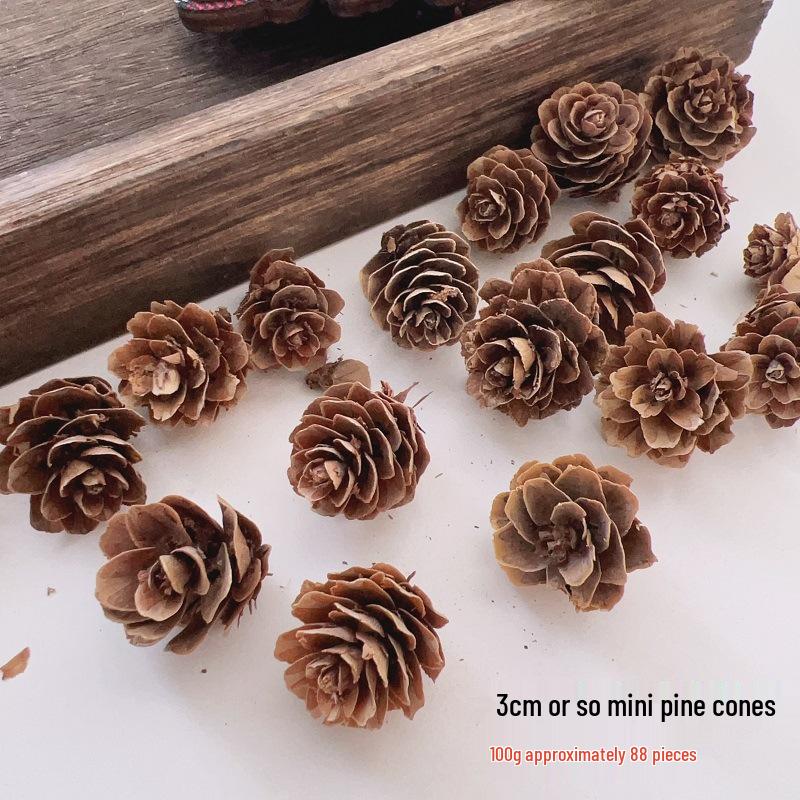 Natural Dried Pine Cones for Christmas Tree Decoration, Photography Props, Floral Wreaths, and Bouquets.