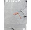 Adidas Essentials Logo Hoodie