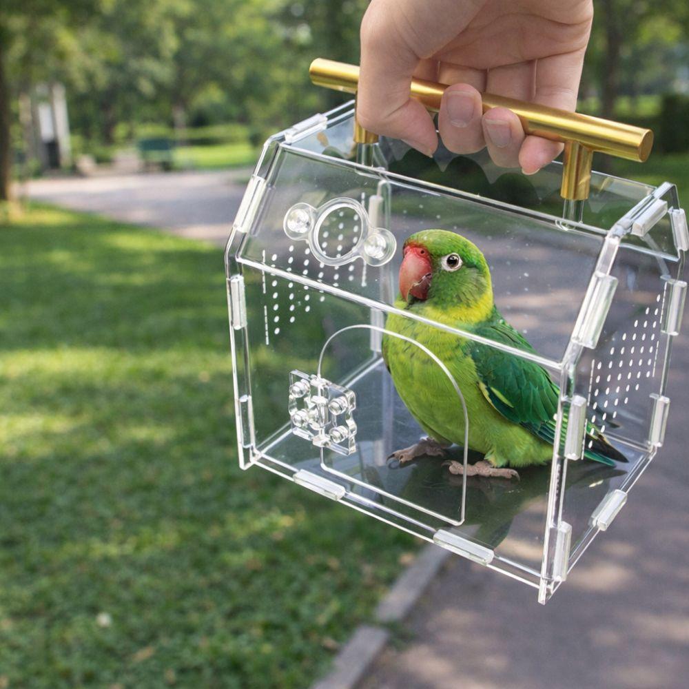 Magnetischer Druckknopfverschluss Spinnengehege Acryl-Spinnen-Beobachtungsbox Tierlebensraum