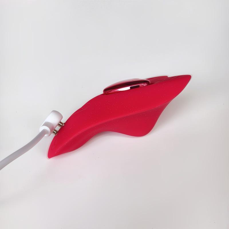 Love Heart Wearable Wireless Remote Vibrator & Magnetic Suction Panties for Women.