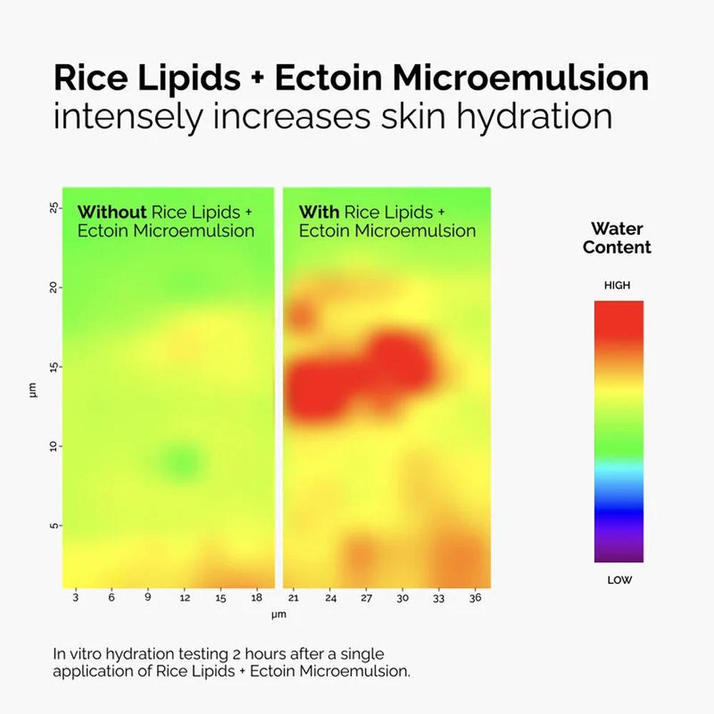 [The Ordinary] Rice Lipids + Ectoin Microemulsion 60ml