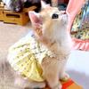 Sweet Dog Plaid Dress Soft Pet Suspenders Cat Pretty Dress Puppy Dresses  Outdoor Activities
