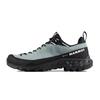 Alnasca Iv Low Leather Gtx Women