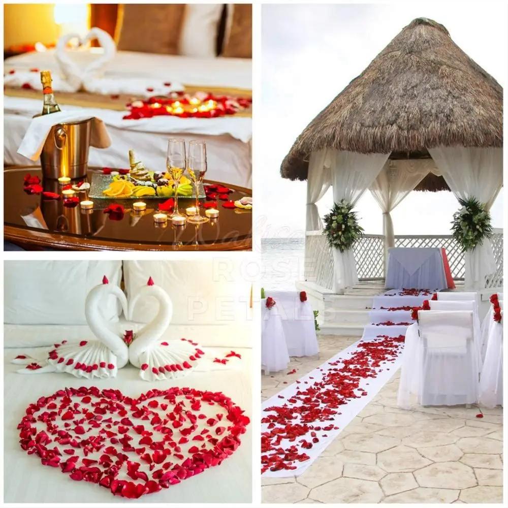 100/200 Piezas Decoración de Flores Pétalos de Rosa Artificiales Fiesta Romántica Decoración del Hogar Día de San Valentín Decoración de Corona de Boda