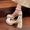 New Chinese cheongsam shoes with skirts Mary Jane single shoes women's spring 2025 new light national style thick heel high heels
