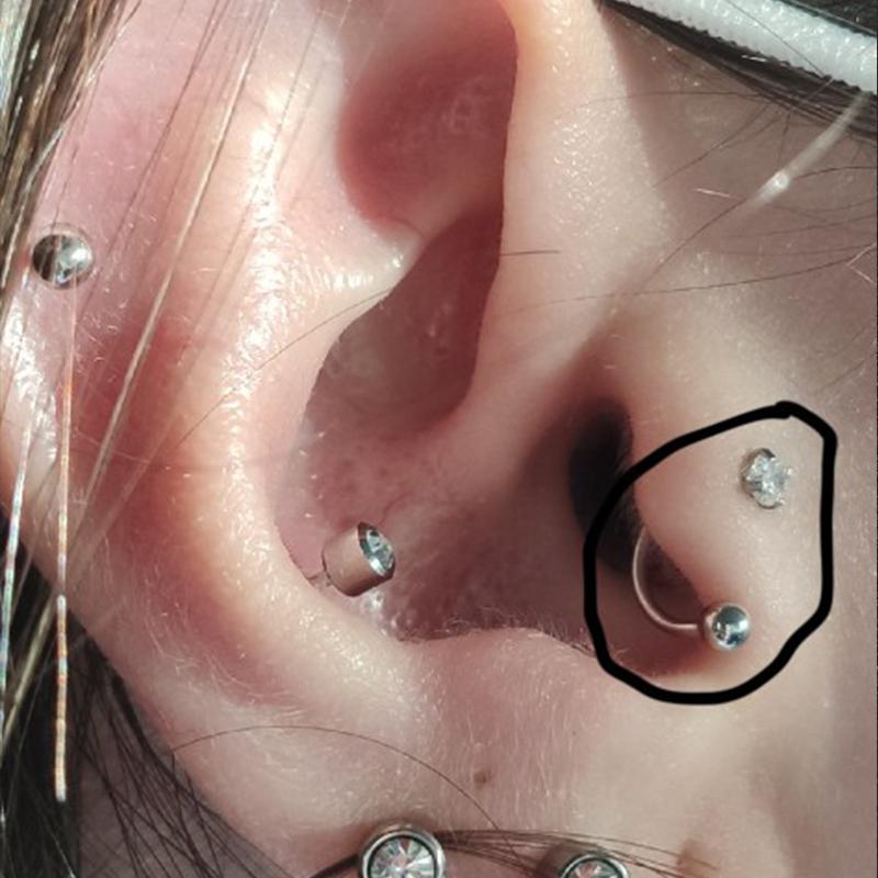 2Pcs 20G 6-10mm Stainless Steel Nose Helix Stud Earring Conch Rook Daith Lobe Ear Piercing Jewelry Cz Hoop Tragus Cartilage