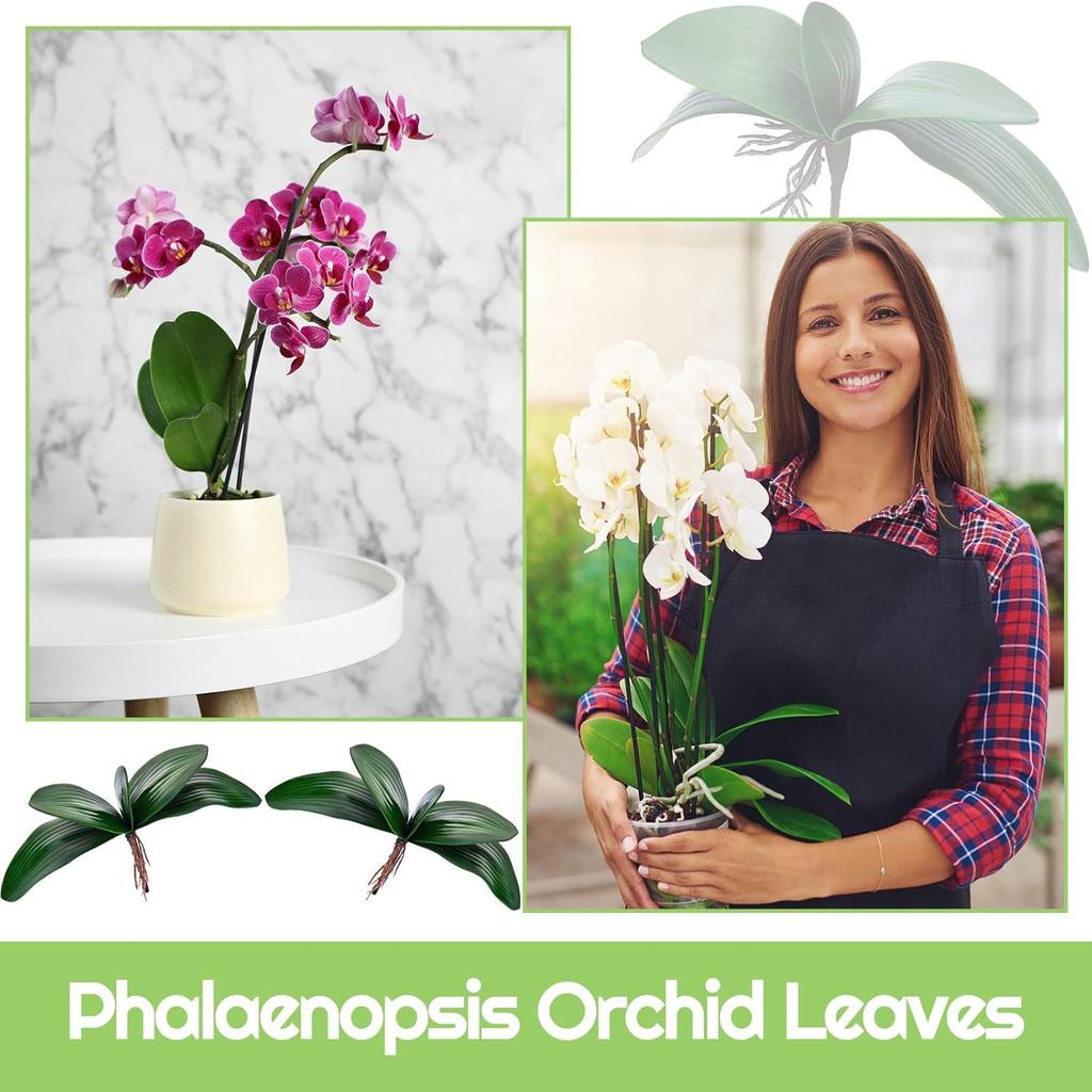 Chuangdi 6 Pieces Faux Phalaenopsis Orchids Leaves Artificial Orchids Leaves Green Leaf Plants Green Faux Leaf Latex Cymbidium Stems for Flowers