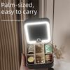 Portable LED Lighted Earrings Case Large-capacity Divided Necklace Tray  Travel Organizer