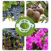 100pcs Functional Garden Plant Support Clips Practical Garden Clips For Securing Tomato Stem And Vegetable Plant