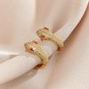 European and American Personalized Snake Design Earrings Retro Versatile Exquisite Trendy Earrings